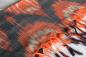 Preview: SALMON 1